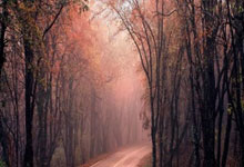 菲戈:效力巴萨是我生涯最美好的时光;罗德里的金球实至名归.