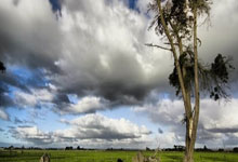 德尚:克罗地亚球员的年龄偏大?这并不妨碍他们表现出色.